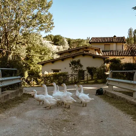 Le Radici * Umbertide