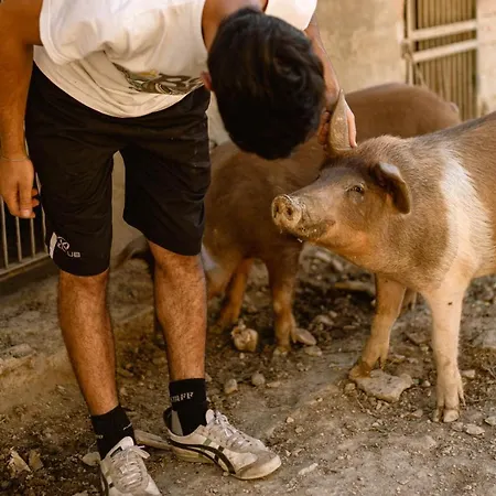 Le Radici Appartement