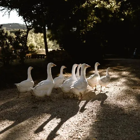Appartement Le Radici Umbertide
