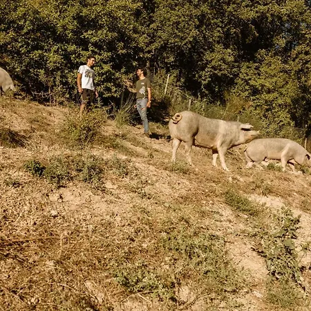 Appartement Le Radici