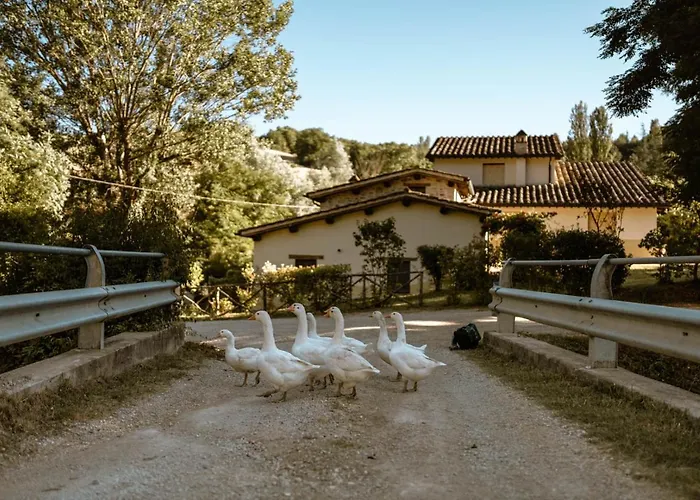 Le Radici * Umbertide