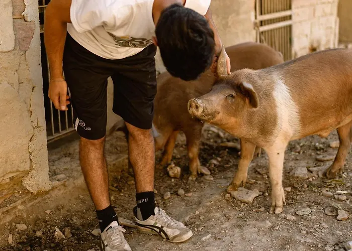 Le Radici Appartement