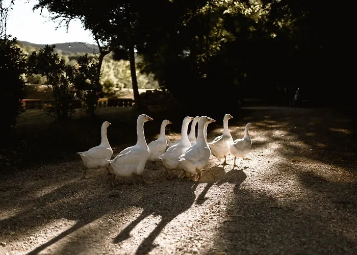Appartement Le Radici Umbertide