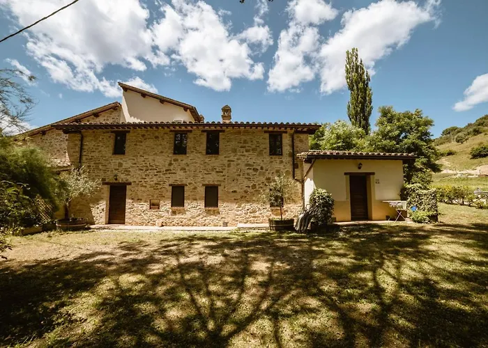 Le Radici 움베티드